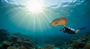 Alor Diving Expeditions: The Definitive Liveaboard Journey